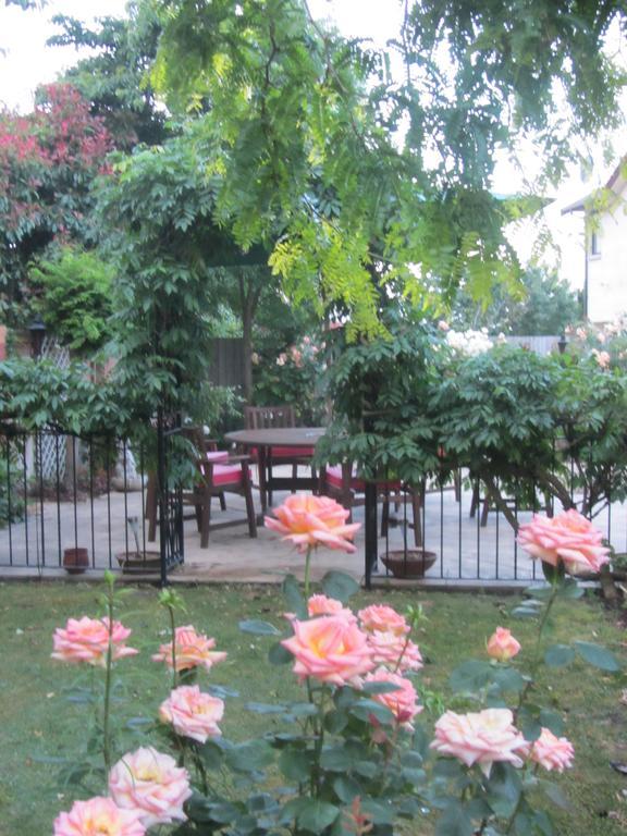 Airport Stableford B&B Крайстчерч Екстер'єр фото